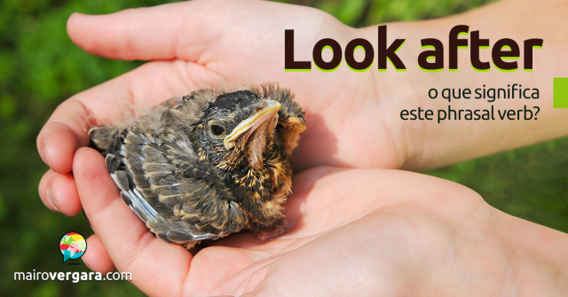 Look After | O Que Significa Este Phrasal Verb?