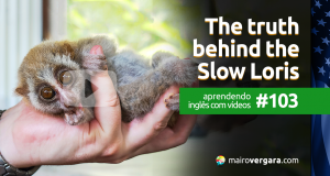 Aprendendo Inglês Com Vídeos #103: The Truth Behind The Slow Loris