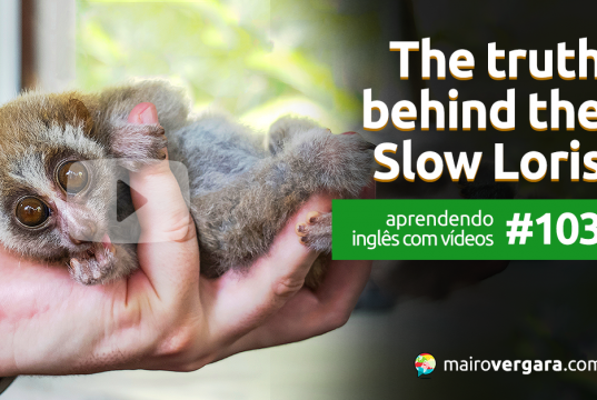 Aprendendo Inglês Com Vídeos #103: The Truth Behind The Slow Loris