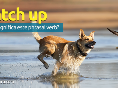 Catch Up | O Que Significa Este Phrasal Verb?