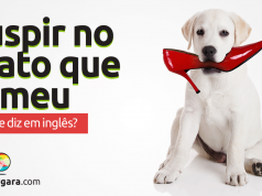 Como Se Diz "Cuspir no Prato que Comeu" Em Inglês?