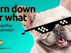 Turn Down for What | O que significa esta expressão?