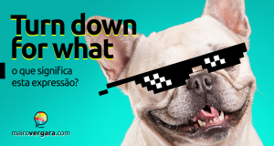 Turn Down for What | O que significa esta expressão?