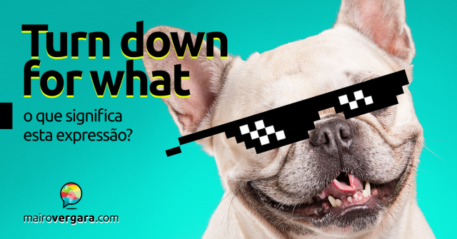 Turn Down for What | O que significa esta expressão?