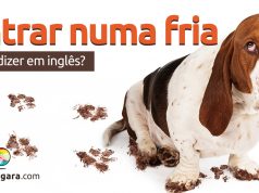 Como se diz "Entrar numa Fria" em inglês?