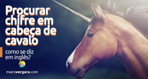 Como se diz “Procurar Chifre em Cabeça de Cavalo” em inglês?