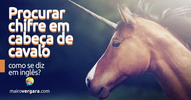 Como se diz “Procurar Chifre em Cabeça de Cavalo” em inglês?