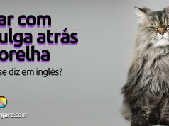 Como se diz “Ficar com uma Pulga Atrás da Orelha” em inglês?