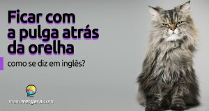 Como se diz “Ficar com uma Pulga Atrás da Orelha” em inglês?