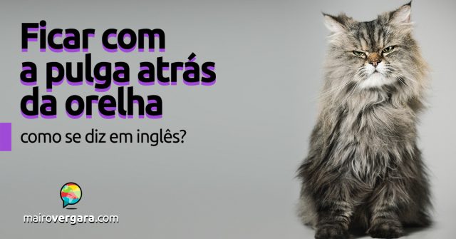 Como se diz “Ficar com uma Pulga Atrás da Orelha” em inglês?