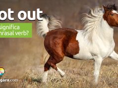 Trot Out | O que significa este phrasal verb?