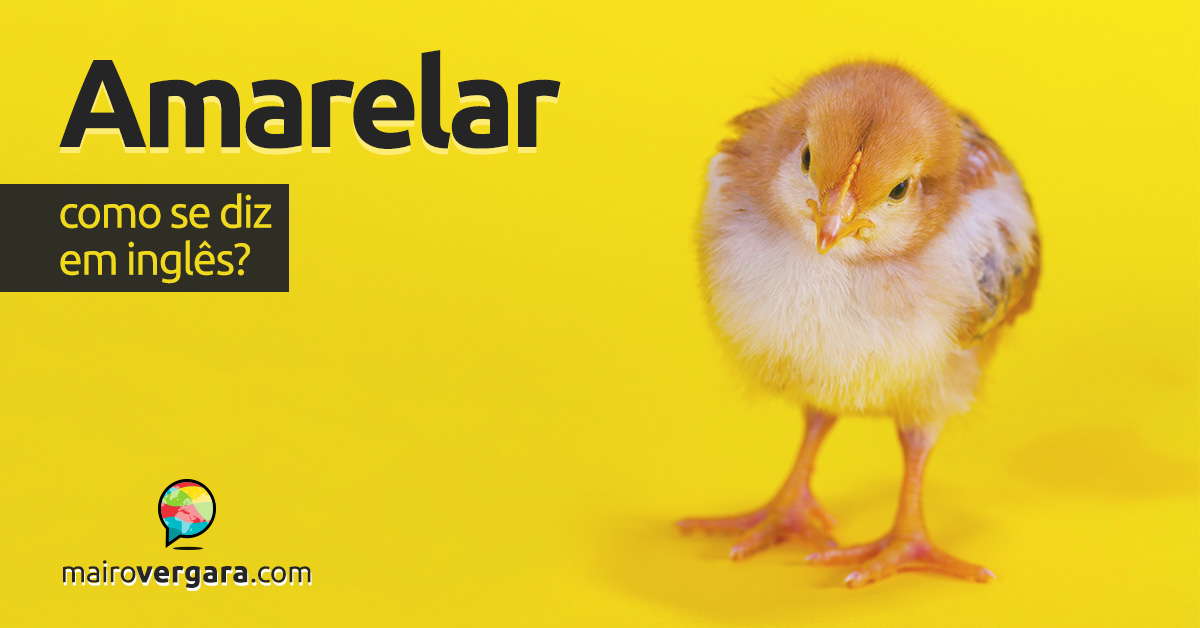 No dia D o animal amarelou!