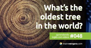Aprendendo inglês com vídeos #048: What’s The Oldest Tree in the World?
