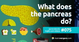 Aprendendo Inglês Com Vídeos #75: What Does The Pancreas Do?
