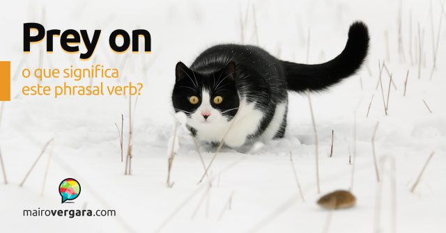 Prey On | O que significa este phrasal verb?