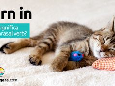 Turn In | O que significa este phrasal verb?