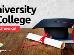 Qual a diferença entre University e College?