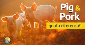 Qual a diferença entre Pig e Pork?