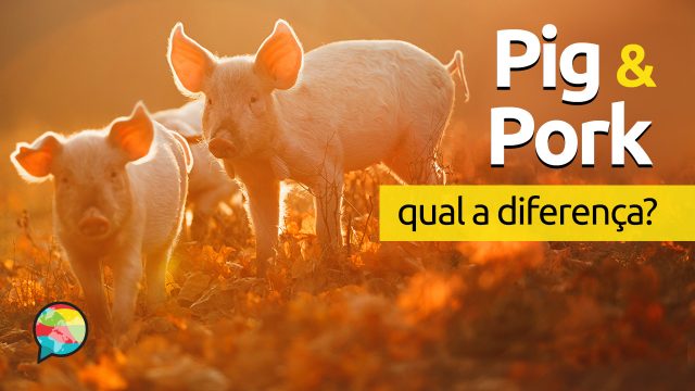 Qual a diferença entre Pig e Pork?