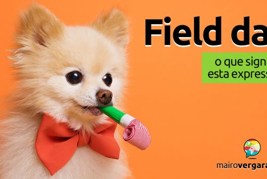 Field Day | O que significa esta expressão?