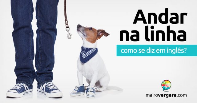 Como se diz “Andar Na Linha” em inglês?