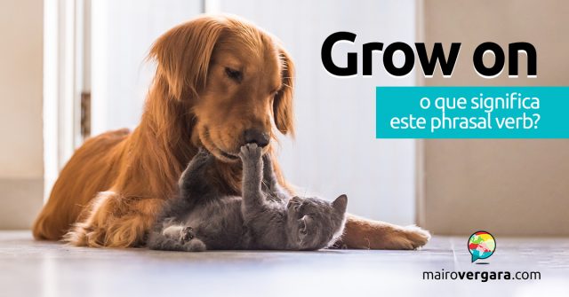 Grow On │O que significa este phrasal verb?