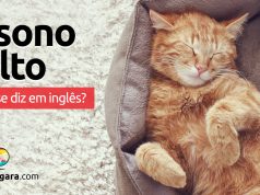 Como se diz "A Sono Solto" em inglês?
