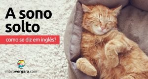 Como se diz "A Sono Solto" em inglês?