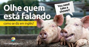 Como se diz "Olhe Quem Está Falando" em inglês?