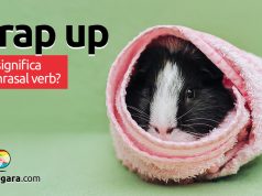 Wrap Up │ O que significa este phrasal verb?