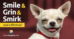 Qual a diferença entre Smile, Grin e Smirk?