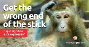 Get The Wrong End Of The Stick | O que significa esta expressão?