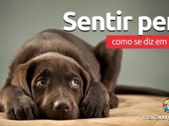 Como se diz “Sentir Pena” em inglês?