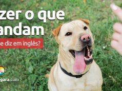 Como se diz “Fazer O Que Te Mandam” em inglês?