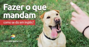 Como se diz “Fazer O Que Te Mandam” em inglês?