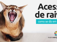 Como se diz "Acesso de raiva" em inglês?