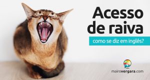 Como se diz "Acesso de raiva" em inglês?