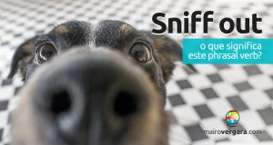 Sniff Out | O que significa este phrasal verb?