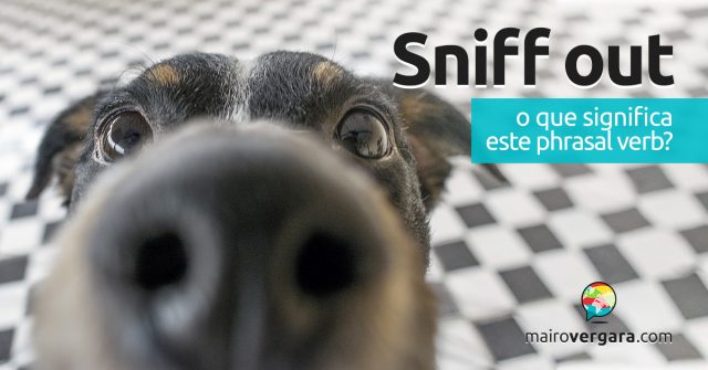 Sniff Out | O que significa este phrasal verb?