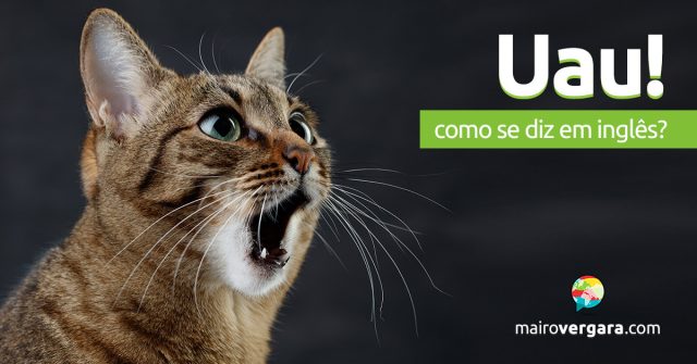 Como se diz “Uau!” em inglês?