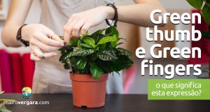 Green Thumb e Green Fingers | O que significam estas expressões?