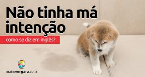 Como se diz "Não Tinha Má Intenção" em inglês