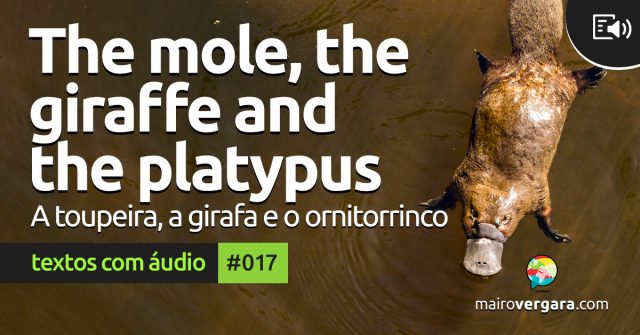 Textos Com Áudio #017 | The mole, the giraffe and the platypus