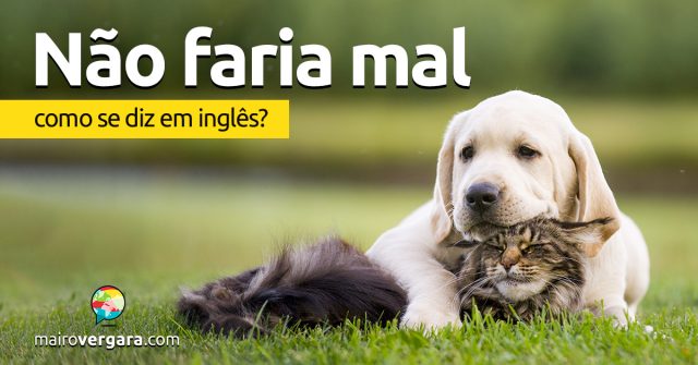 Como se diz “Não Faria Mal” em inglês?