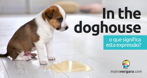 In The Doghouse | O que significa esta expressão?