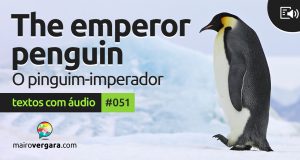 Textos Com Áudio #051 | The emperor penguin