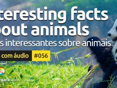 Textos Com Áudio #056 | Interesting facts about animals