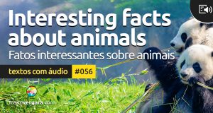 Textos Com Áudio #056 | Interesting facts about animals