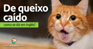 Como se diz “De Queixo Caído” em inglês?