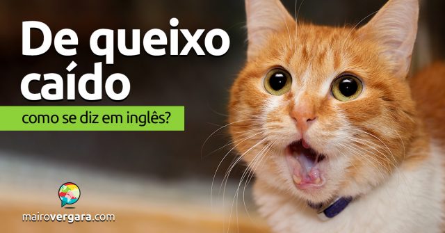 Como se diz “De Queixo Caído” em inglês?